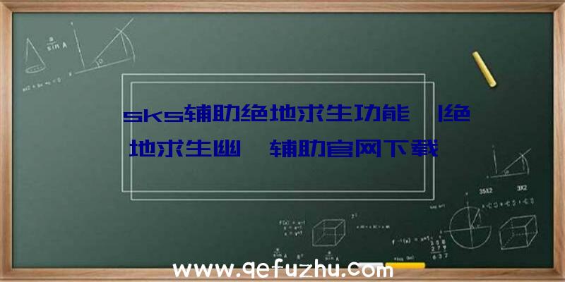 「sks辅助绝地求生功能」|绝地求生幽冥辅助官网下载